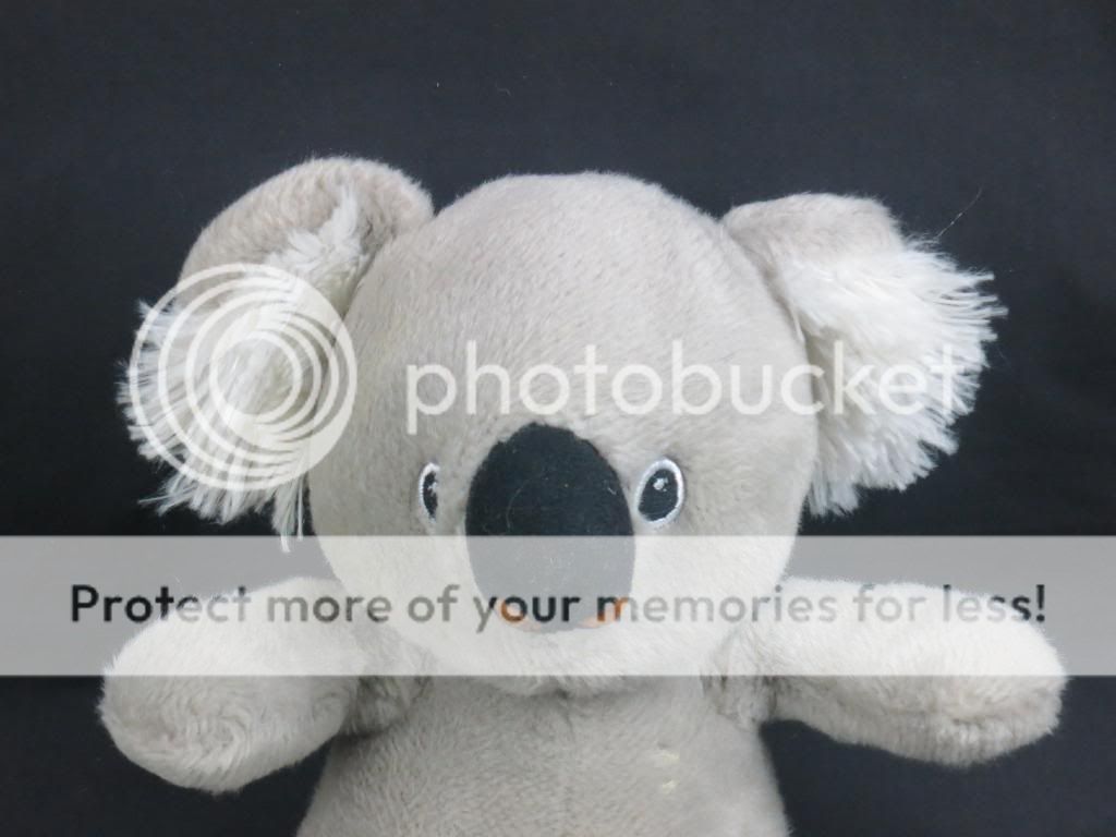 aurora koala plush